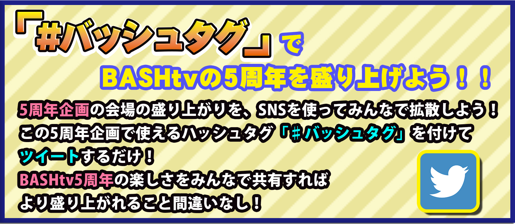 Bashtv 5th Anniversary