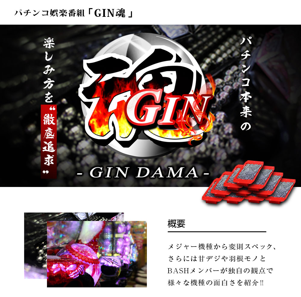 GIN魂